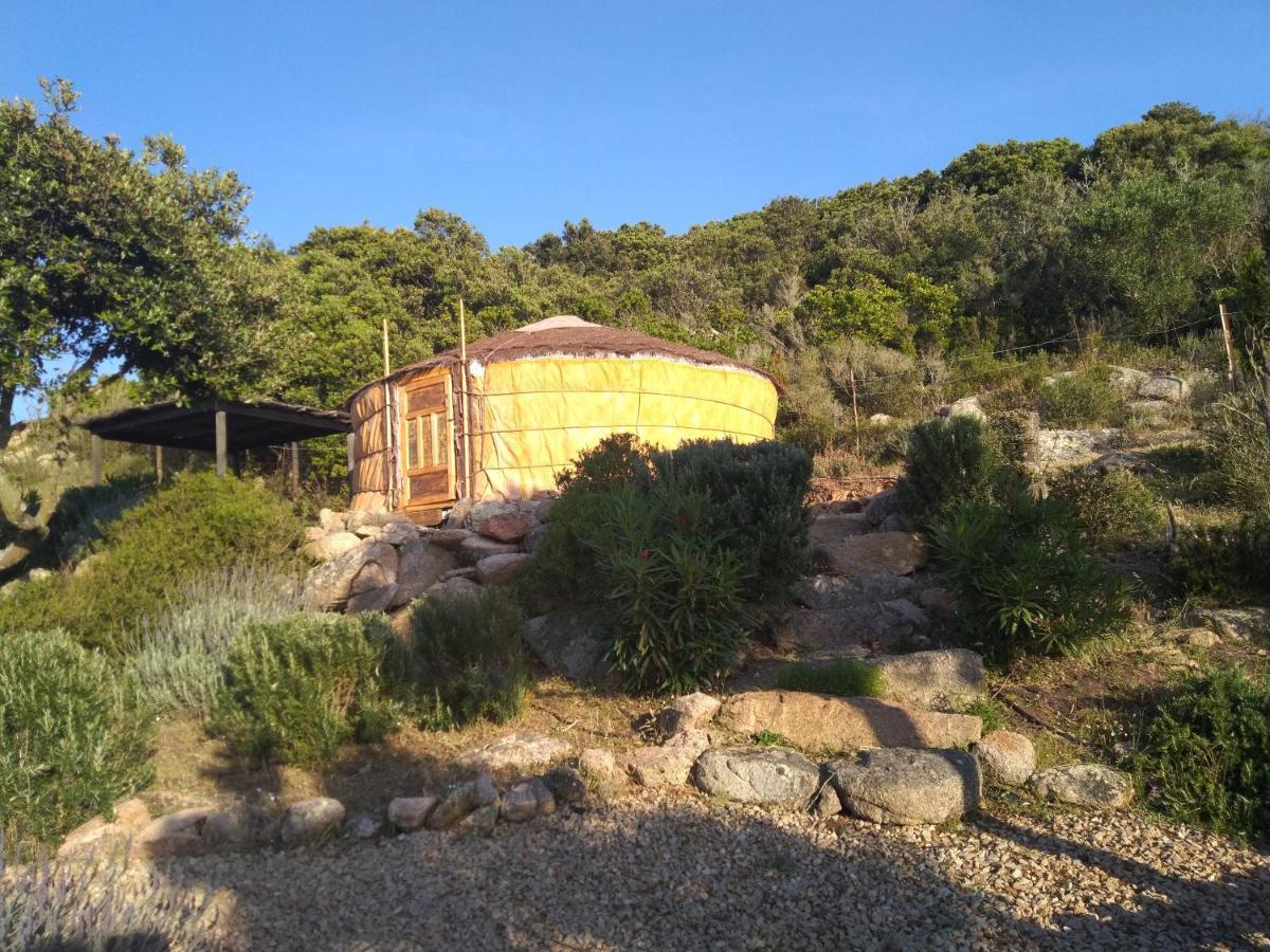 Campsite La Cera Farm *