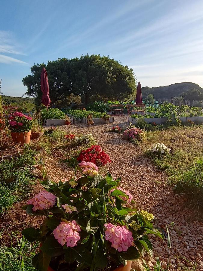 La Cera Farm Campsite