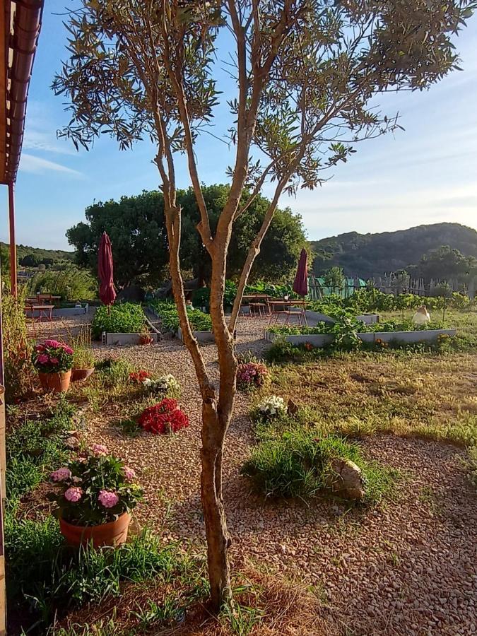 La Cera Farm Santa Teresa Gallura