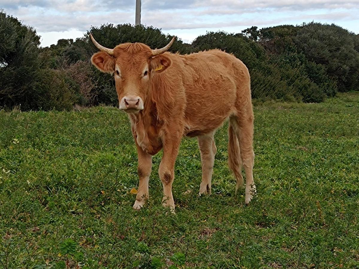 La Cera Farm *