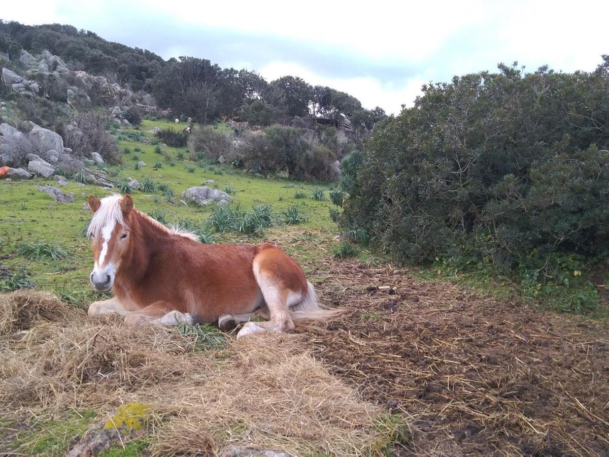 La Cera Farm Campsite *